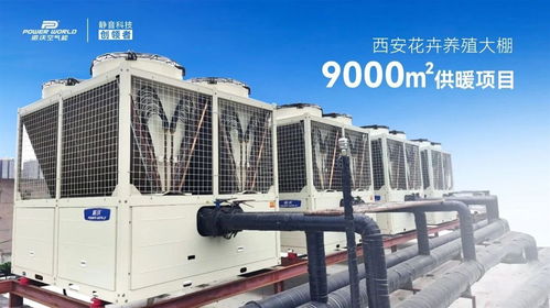 精品案例 派沃空氣能助力花卉養(yǎng)殖大棚9000㎡供暖項(xiàng)目，35臺超低溫?zé)岜米o(hù)航冬日花開
